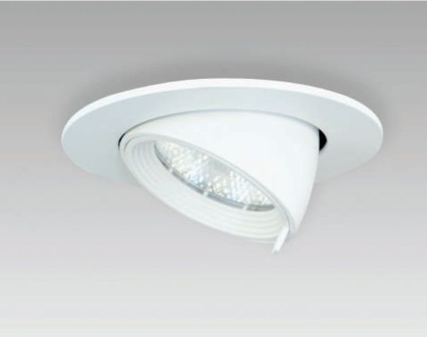 DOLPHIN CEILING DOWN LIGHT