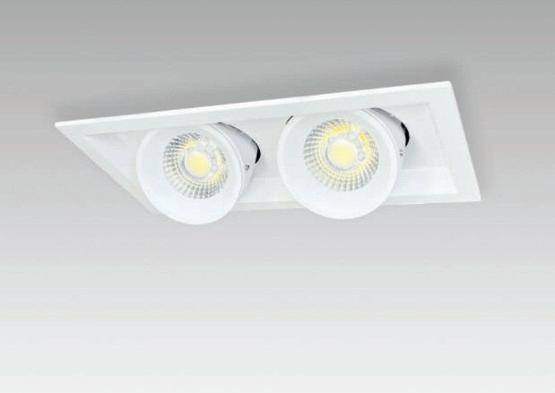 DOUBLE DOLPHIN CEILING DOWN LIGHT