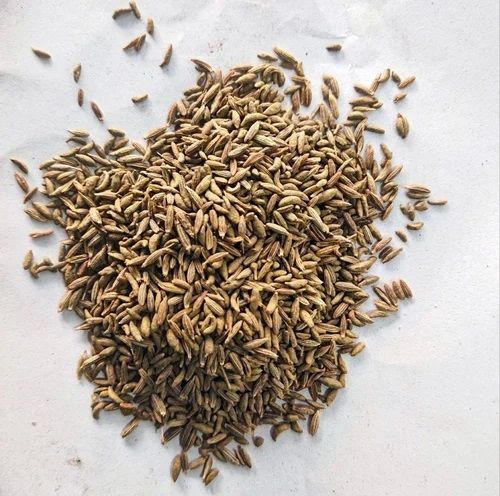 Brown Cumin Seed