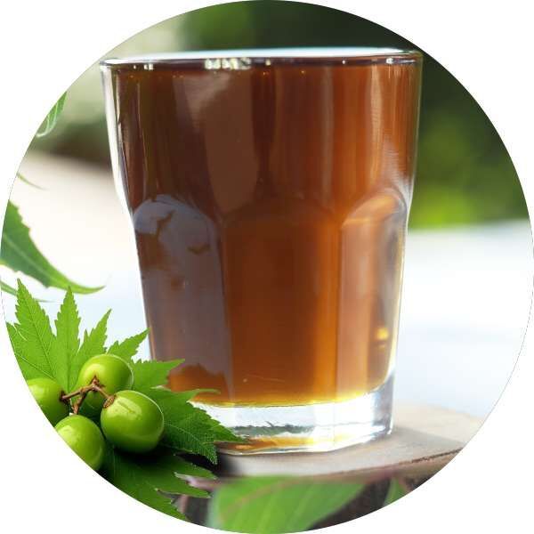 Organic Neem Seed Oil