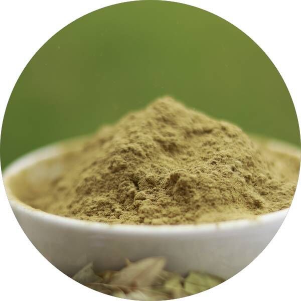 Organic Senna Leaf Powder