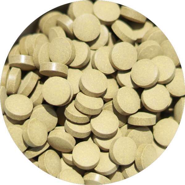 Organic Senna Tablets