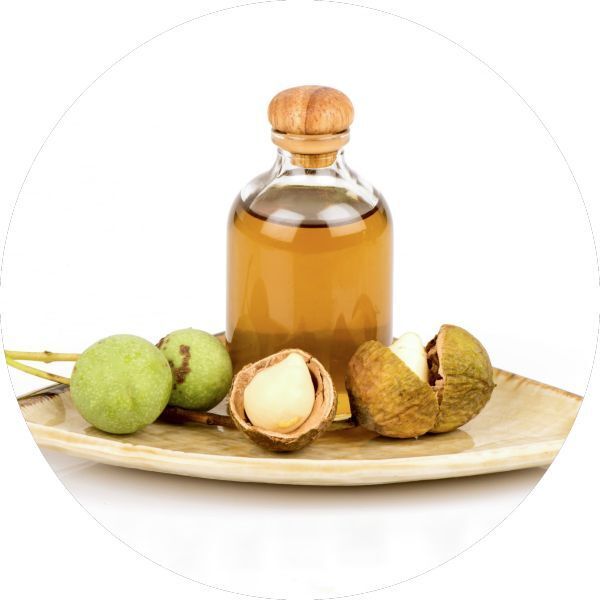 Organic Tamanu Seed Oil