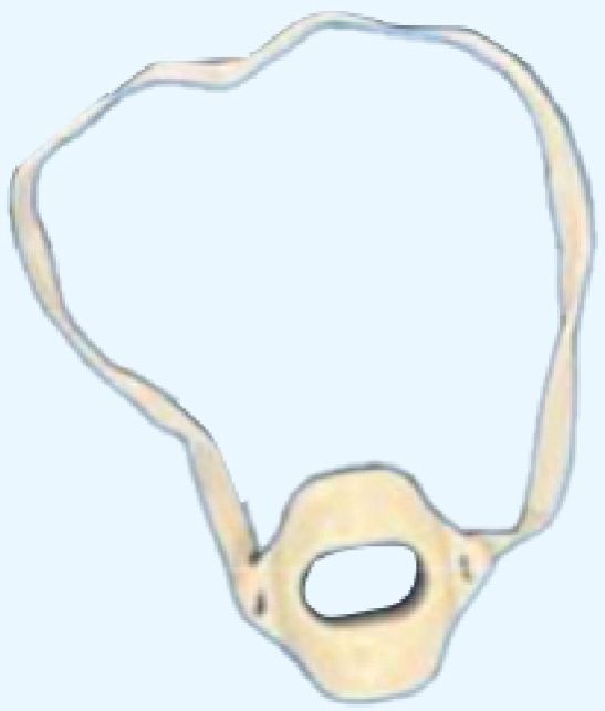 Medical Disposable MOUTH GUARD