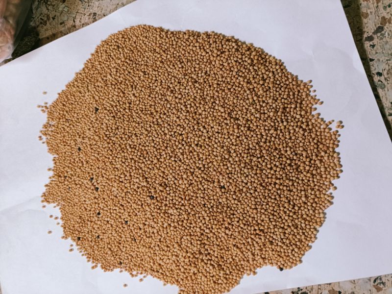 Natural Yellow Mustard Seeds