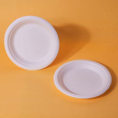 Plain 6 Inch Round Bagasse Plates, Color : White