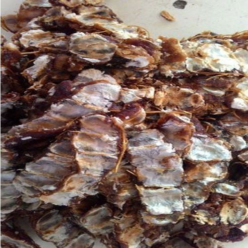 Natural Dry Tamarind, Color : Brown, Packaging Size : 25Kg