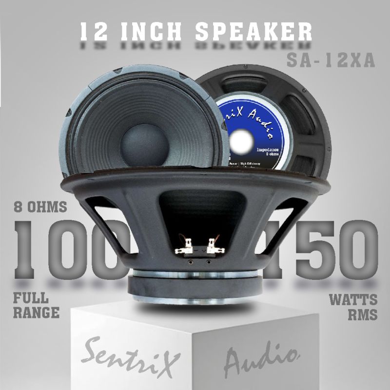SentriX Audio 12 Inch Full Range Speaker | SA-12XA | 100-150Watt