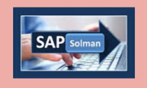 Sap Solution Manager Online Course For It Professionals