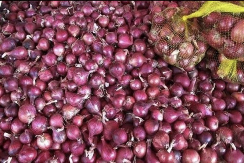 red onion