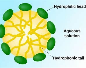 Formulation development service