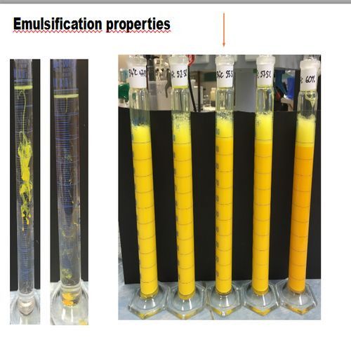 Surfactant Development Services