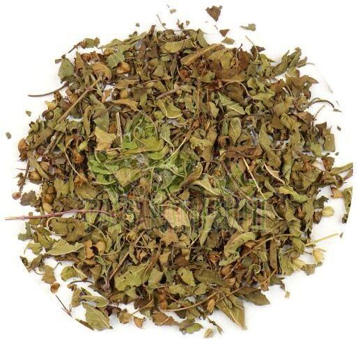 Mentha Arvensis Dry Leaves