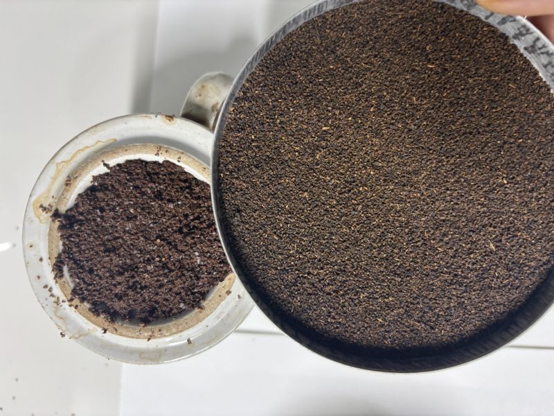 Arcus Special Dust Tea