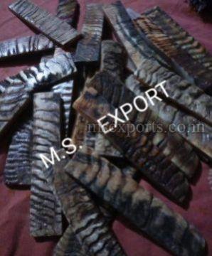 Black RAM Horn Scale