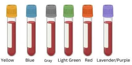 Plastic blood collection tubes, Packaging Type : Transparent