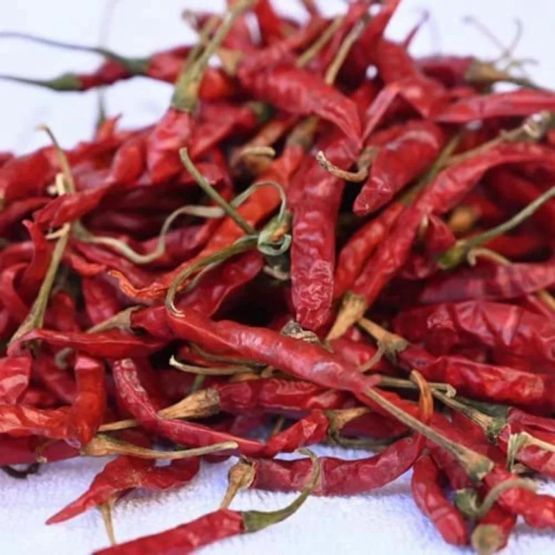 Dried Teja Red Chilli