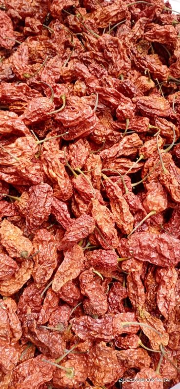 Dried King Chilli