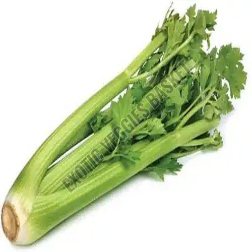 Fresh Celery