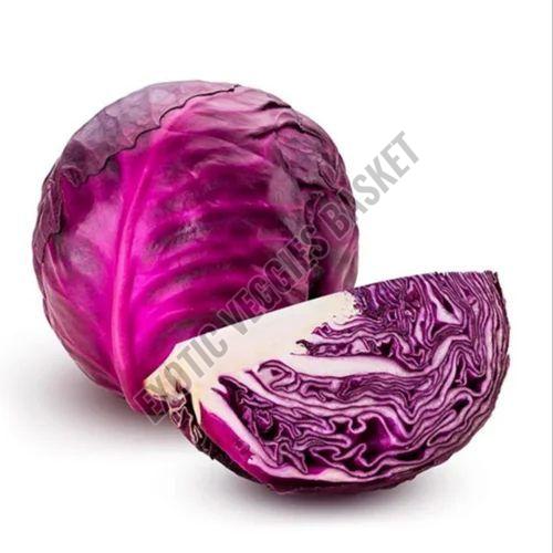 fresh red cabbage