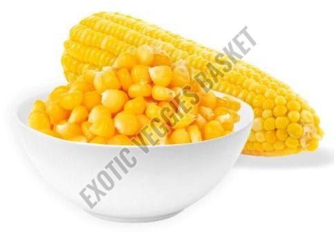 Peeled Sweet Corn