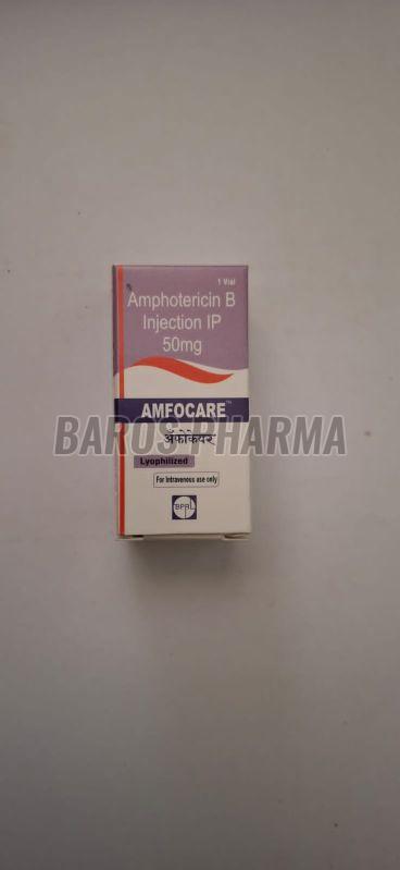 Amfocare Amphotericin B 50mg Injection