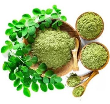 moringa leaf powder