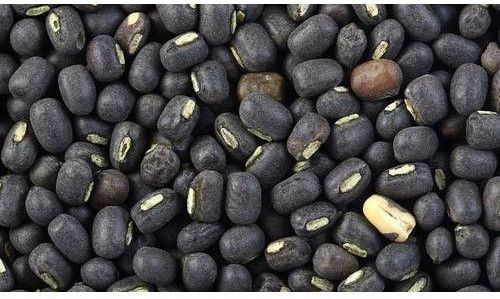 Natural Dried Black Gram Seeds