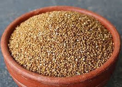Organic Barnyard Millet Seeds, Speciality : Vitamins & Minerals
