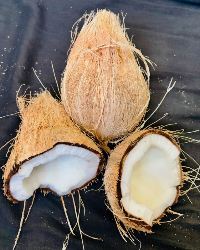 coconut