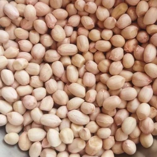 Dried Peanut Seeds