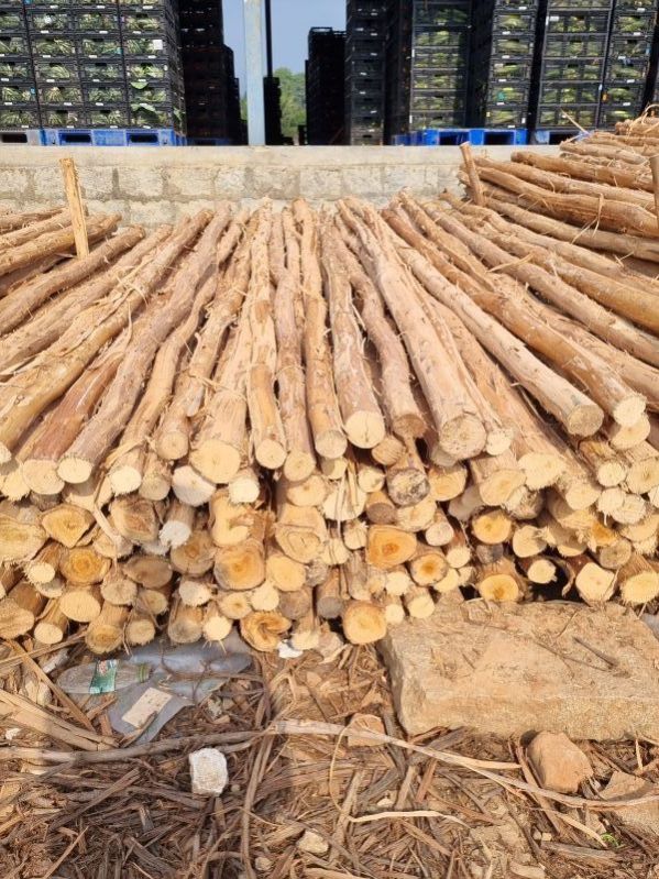 12 Feet Round Wooden Pole, Color