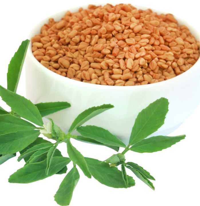 Fenugreek Seed