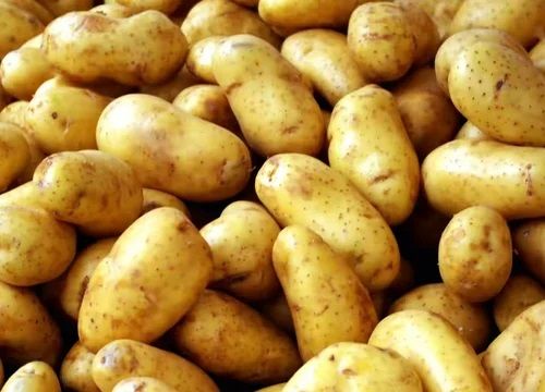 fresh potatoes