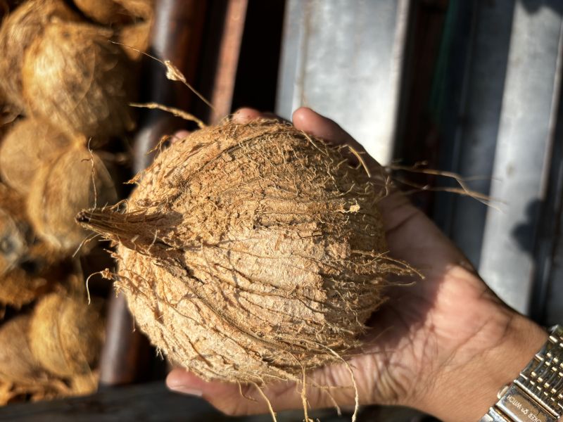 Biscuit Kasangal Colour Coconut