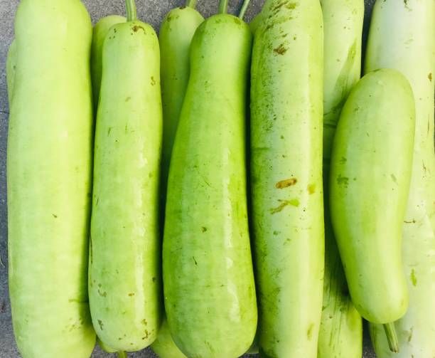Fresh Light Green Bottle Gourd