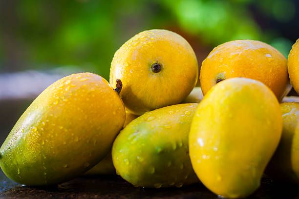 fresh alphonso mango