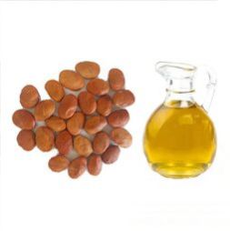 Karanja Seed Oil
