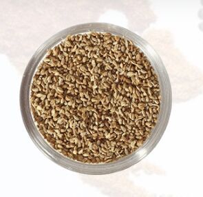 Carom Seeds, Color : Brown for Cooking