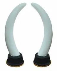 Fiber Elephant Tusk(15 Inches)-2 Piece For Decorative Purposes