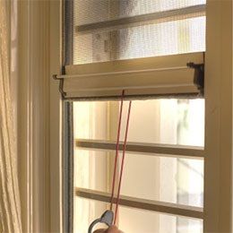 Roller Window Screens