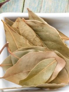 bay leaf