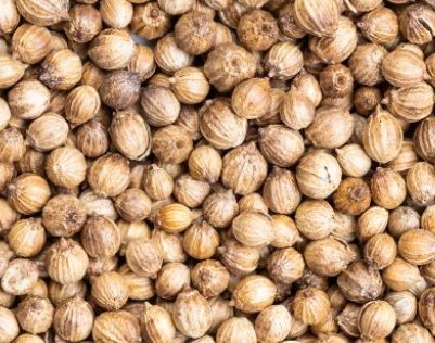 coriander seeds