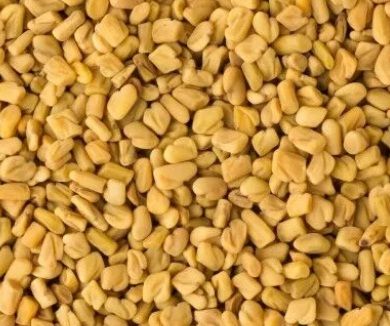 Fenugreek (Methi) Seeds