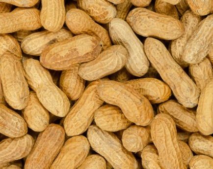 Groundnut, Color : Dark Pink, Packaging Type : Raw Salted