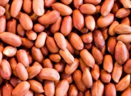 Peanut, Color : Dark Pink, Packaging Type : Raw Salted
