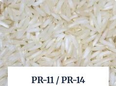 PR-11 / PR-14 Non-Basmati Rice, Moisture : 14% Max