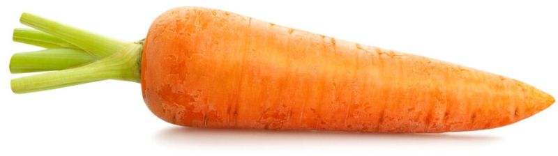 fresh carrot