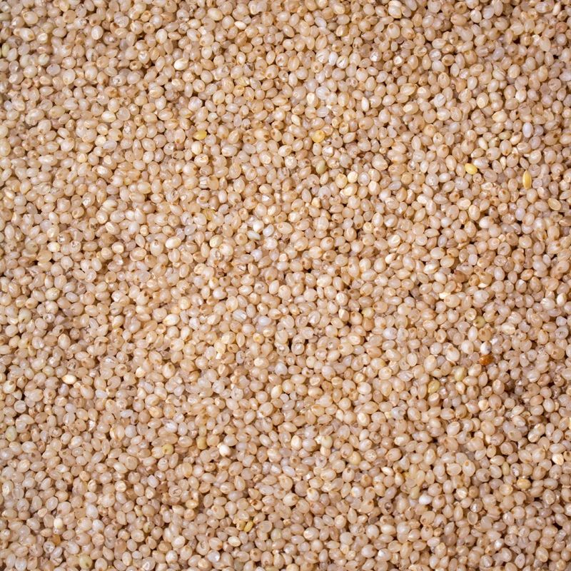 Little Millet Seed