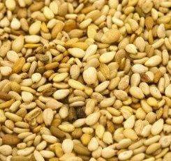 Natural Sesame Seeds